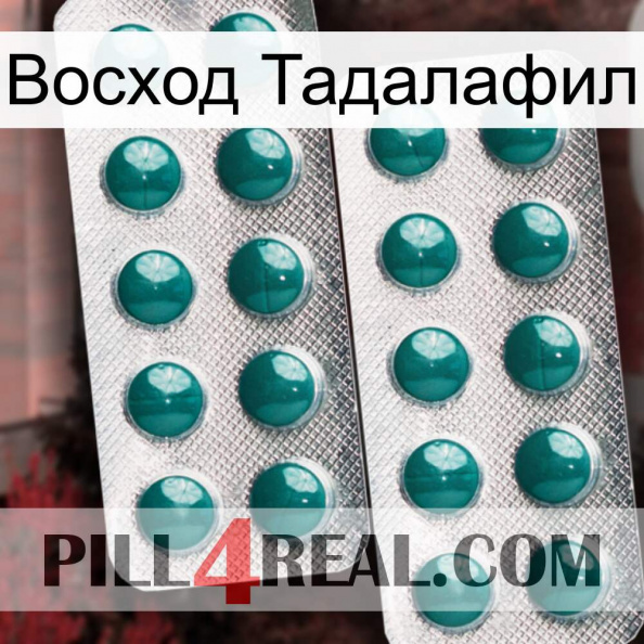 Восход Тадалафил dapoxetine2.jpg